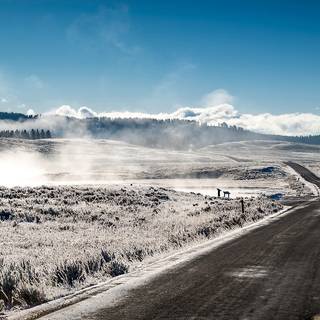 Panoramic winter wallpaper