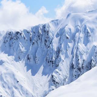 Winter snow iPhone wallpaper