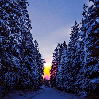 Winter snow iPhone wallpaper