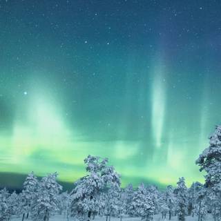 Aurora blue iPhone wallpaper