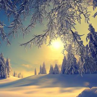 Winter snow iPhone wallpaper