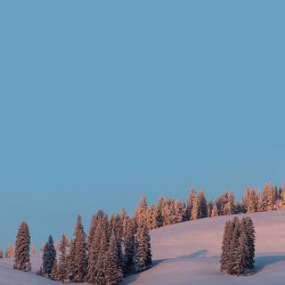 Winter snow iPhone wallpaper
