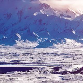 Winter snow iPhone wallpaper