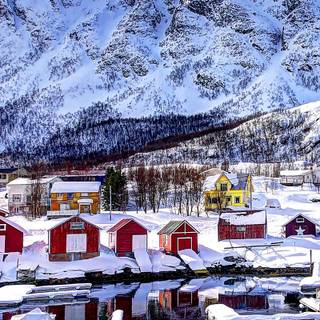 Winter snow iPhone wallpaper