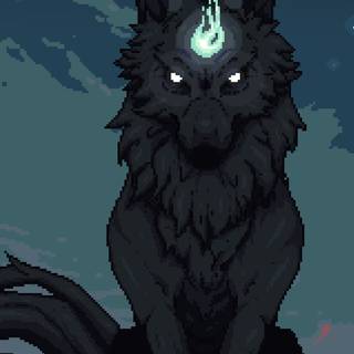 Wolf 4k iPhone wallpaper