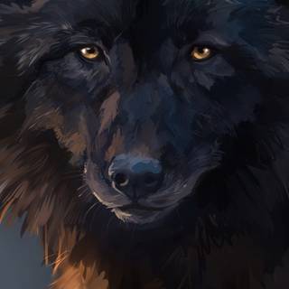 Wolf 4k iPhone wallpaper