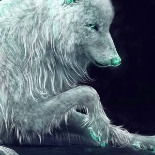 Wolf 4k iPhone wallpaper