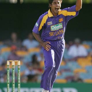 Chaminda Vaas wallpaper