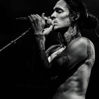 Brandon Boyd wallpaper