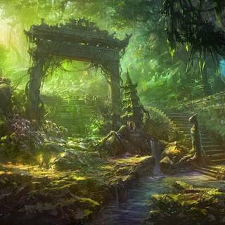 Anime HD forest wallpaper