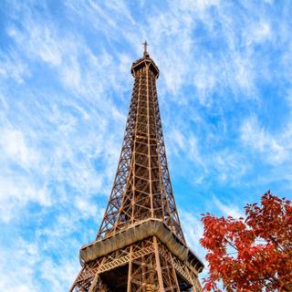 4k Eiffel Tower wallpaper