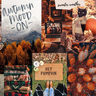 Halloween vibes laptop wallpaper