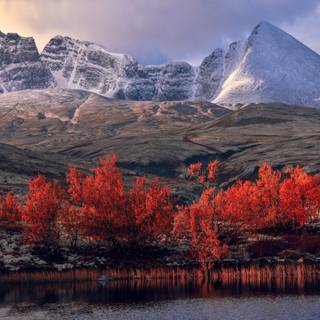 Desktop 4k autumn wallpaper