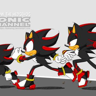 Amy x Shadow wallpaper