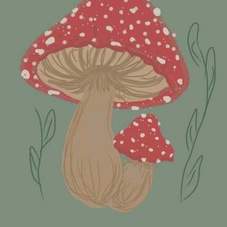 Aesthetic tiny mushrooms wallpaper