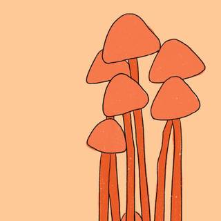 Aesthetic tiny mushrooms wallpaper