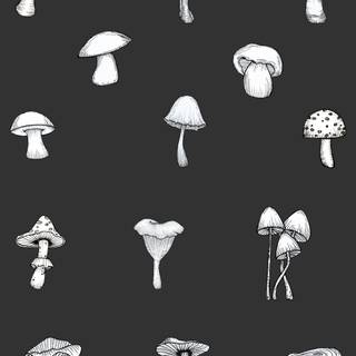 Aesthetic tiny mushrooms wallpaper