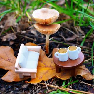 Aesthetic tiny mushrooms wallpaper