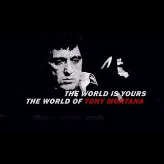 Scarface quotes wallpaper