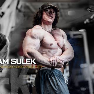Sam Sulek wallpaper