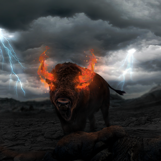 Fire bull wallpaper
