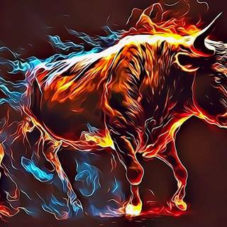 Fire bull wallpaper