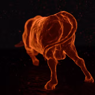 Fire bull wallpaper