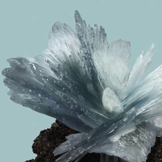 Google Pixel 8 Pro wallpaper