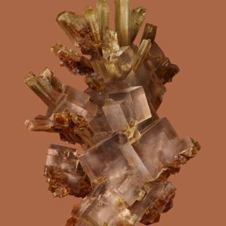 Google Pixel 8 Pro wallpaper