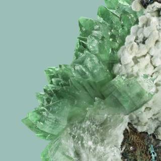 Google Pixel 8 wallpaper