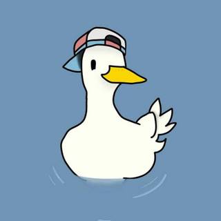 Cool ducks wallpaper