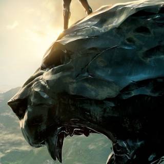 iPhone Black Panther 4k wallpaper