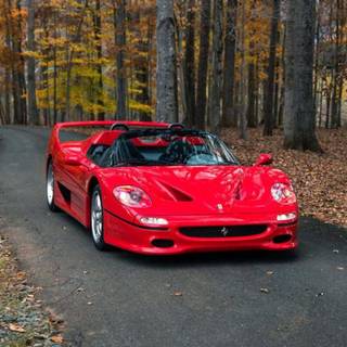 Autumn Ferrari wallpaper