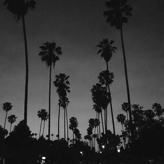 4k white iPhone wallpaper