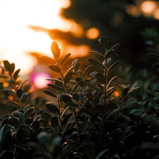 Blur 4k desktop wallpaper