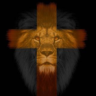 Dark lion 4k wallpaper