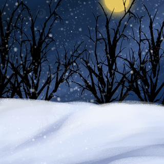 Forest winter night wallpaper