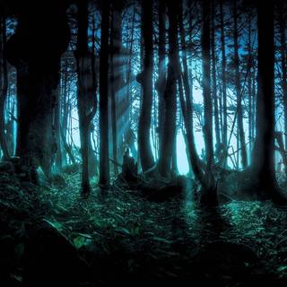 Spooky Halloween forest wallpaper