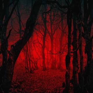 Spooky Halloween forest wallpaper