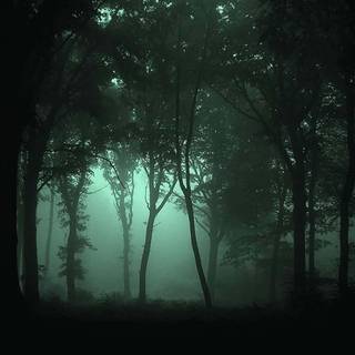 Spooky Halloween forest wallpaper