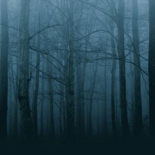 Spooky Halloween forest wallpaper