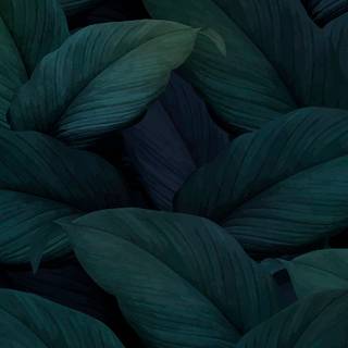 Creative 4k mobile wallpaper