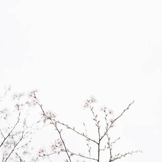 Aesthetic Android 4k wallpaper