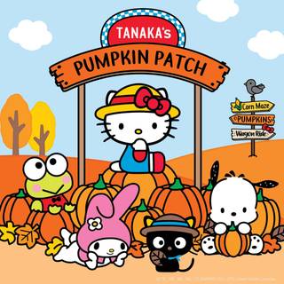 Mocha Sanrio Halloween wallpaper