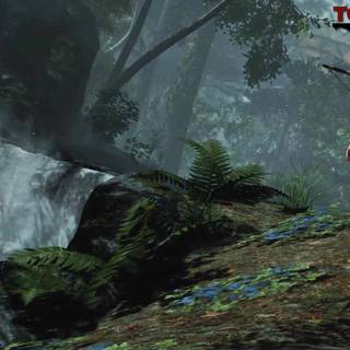 Tomb Raider Definitive Edition wallpaper