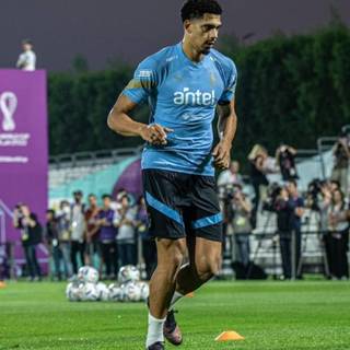 Araujo 1920x1080 wallpaper