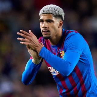 Araujo 1920x1080 wallpaper