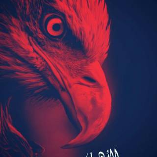 Al Ahly Egypt wallpaper