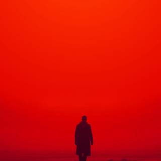 Blade Runner 2049 iPhone wallpaper