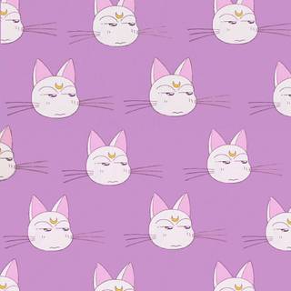 Anime cat pink aesthetic wallpaper